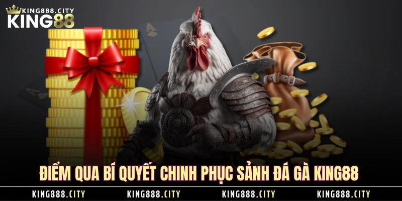 Điểm qua bí quyết chinh phục sảnh Đá Gà KING88 