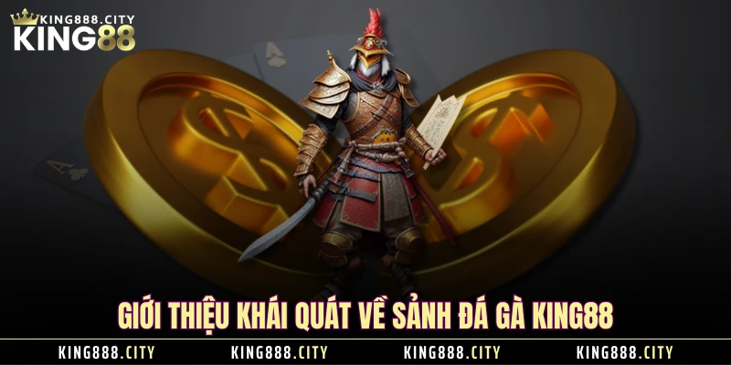 Giới thiệu khái quát về sảnh Đá Gà KING88